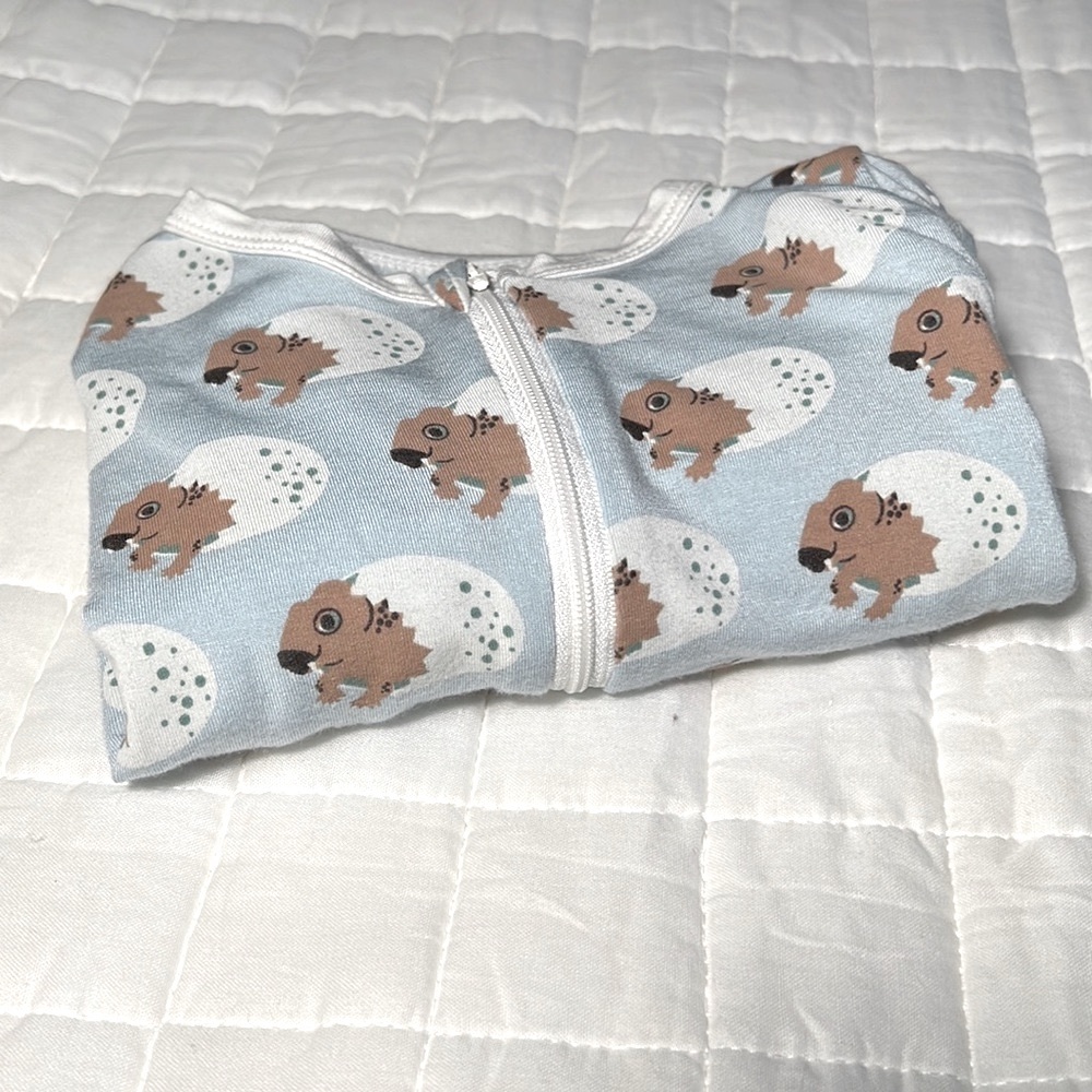 KicKee Pants Zipper Footie Pajamas Spring Sky Diictodon